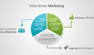 Creating a Data-Driven Marketing Plan