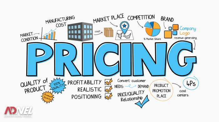 Product Pricing Strategies