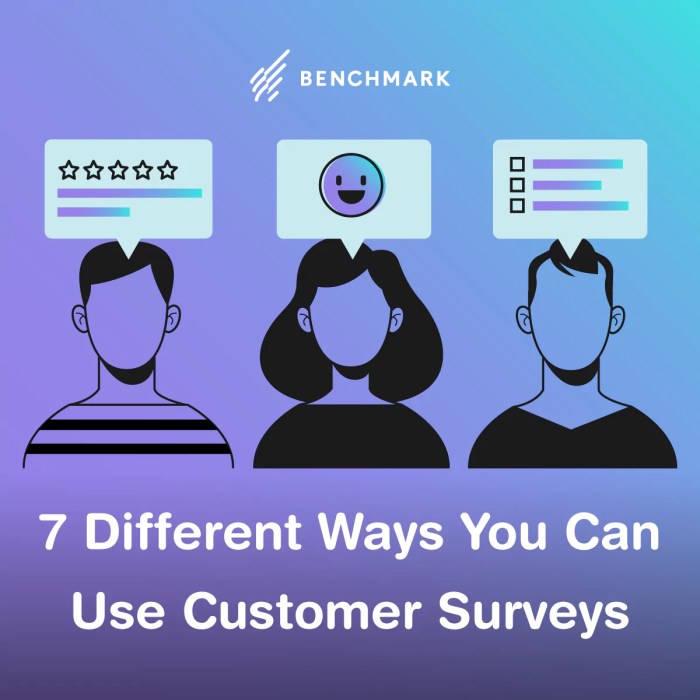 Using Customer Surveys in Strategy