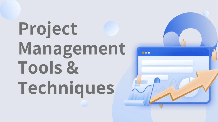 Project Management Techniques