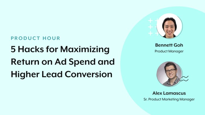 Maximizing Return on Ad Spend