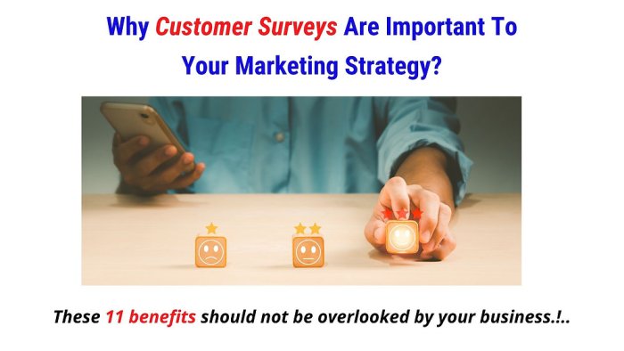 Using Customer Surveys in Strategy