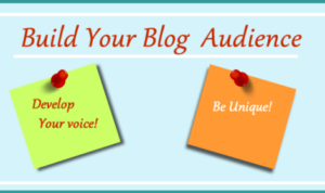 Building a Blog Audience