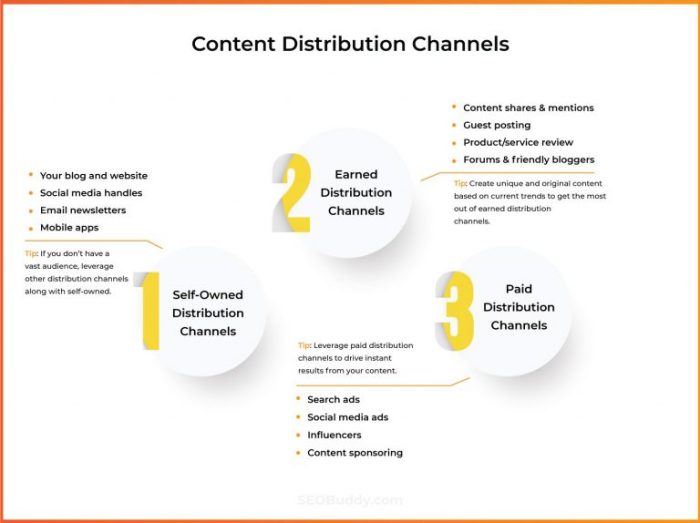 Understanding Content Distribution