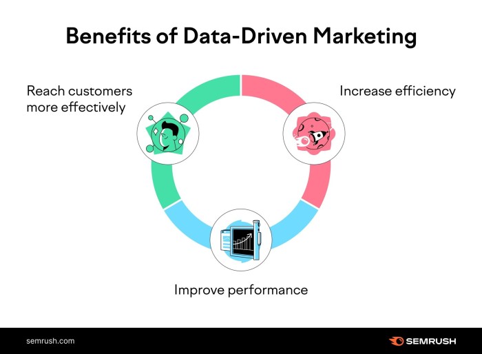 Creating a Data-Driven Marketing Plan