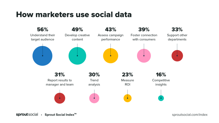 Using Social Media Analytics for Strategy