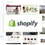 Building a Shopify Store