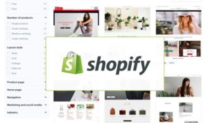 Building a Shopify Store