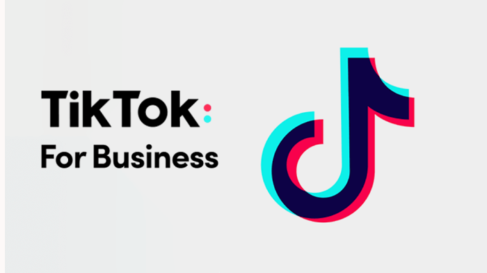 Using TikTok for Business