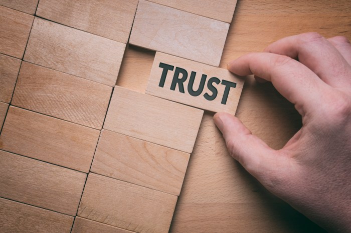 Building Brand Trust