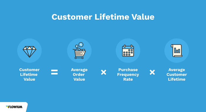 Understanding Lifetime Customer Value