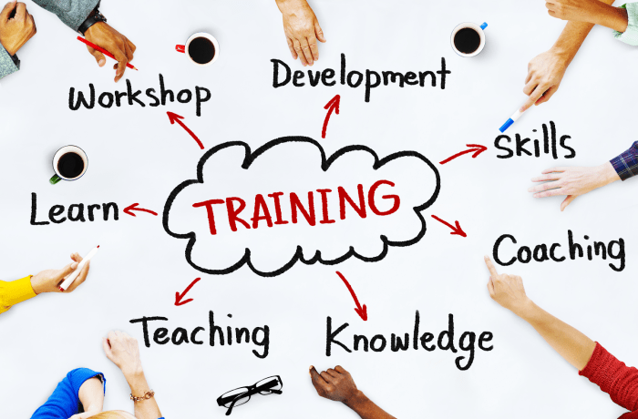 Creating Employee Training Programs