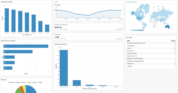 Using Google Analytics for Insights