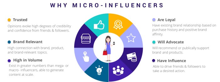 Using Micro-Influencers in Marketing