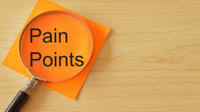 Understanding Customer Pain Points