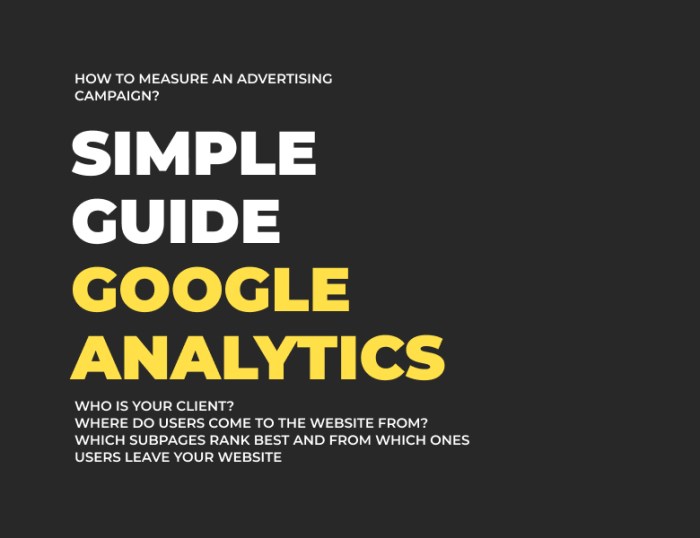 Google Analytics Guide