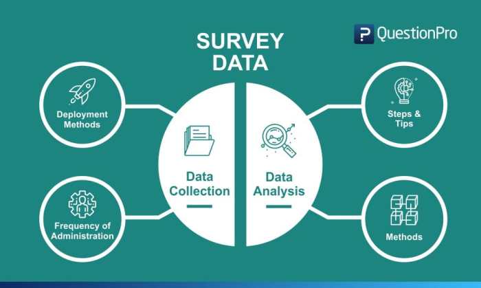 Survey data collection analysis methods examples definition