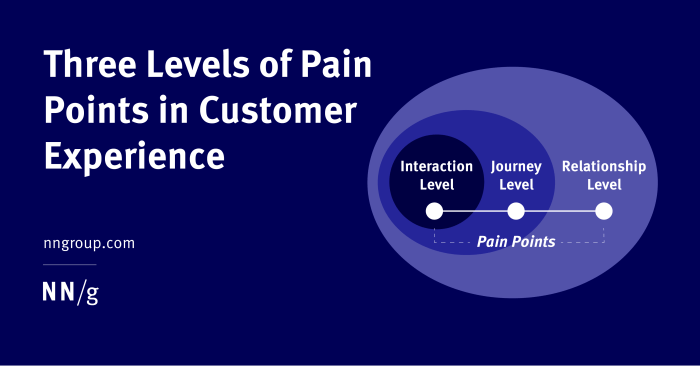 Understanding Customer Pain Points