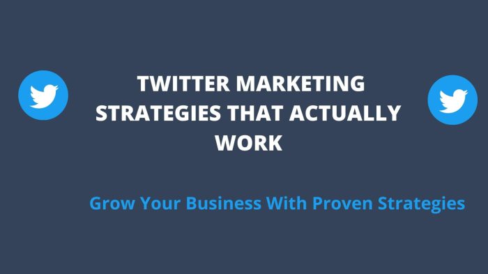 Developing a Twitter Marketing Strategy