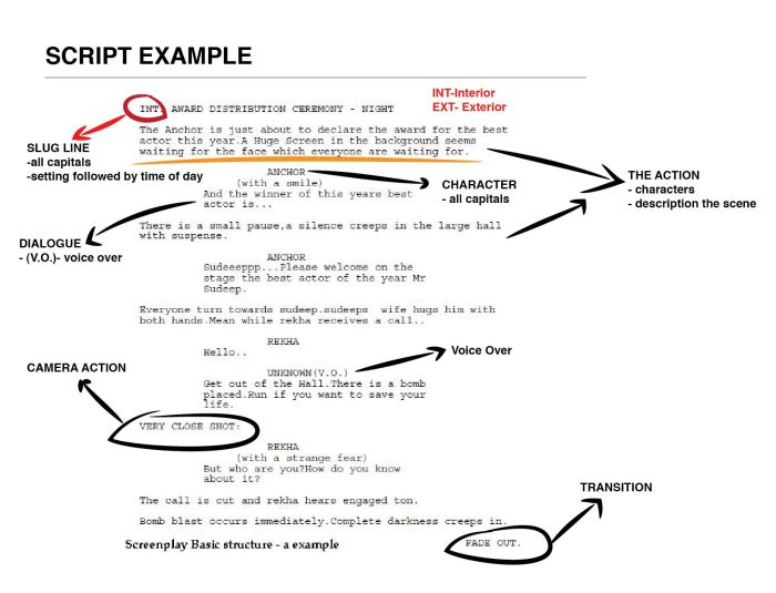 Writing Video Scripts for Marketing